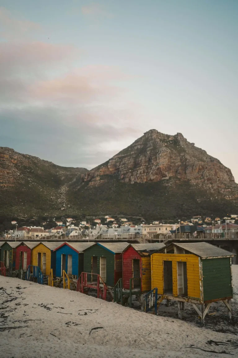 pexels-taryn-elliott-7717305