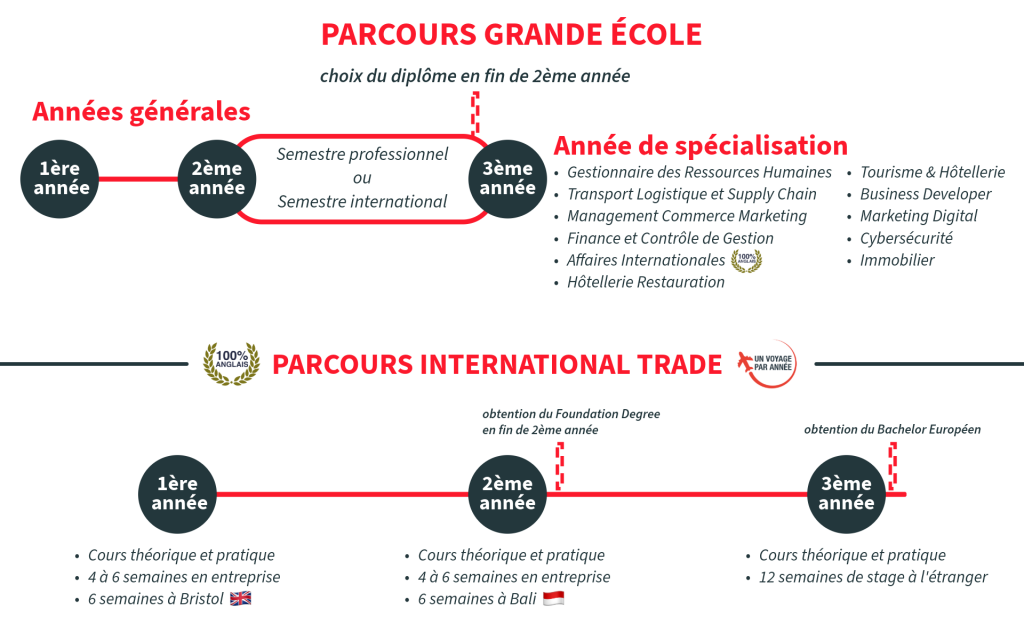 graphique Bachelor 2