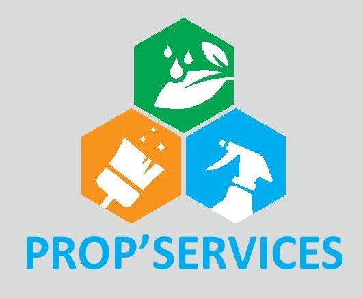 logo propservices